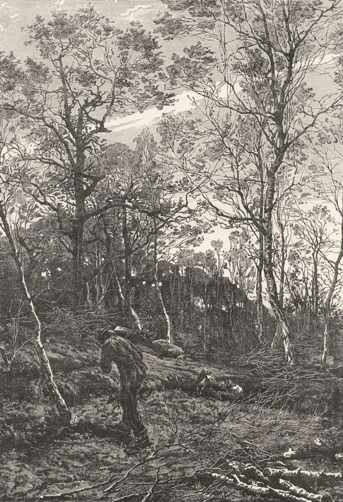 LOIRE. Loire valley. Woodland Scene. Banks of the Loire c1878 old print